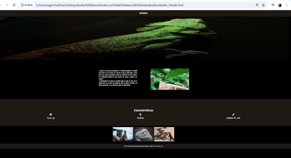 Iguana page